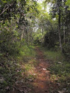 284003_2233803291603_1037792_n