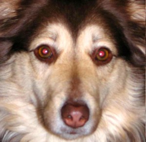 58d357ccb498c95bc881af11402d18cb