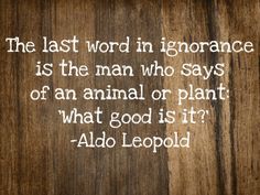 6e0f9be1e95c404ed9205197a57acbce