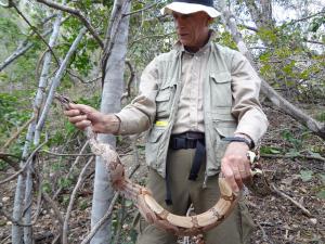 Serra da Capivara WCM & boa constrictor (2)