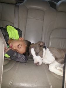 10888685_10203219824568285_5265591776370023583_n