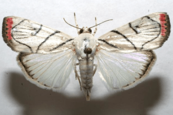 Screen Shot 2015-02-06 at 12.40.36 PM