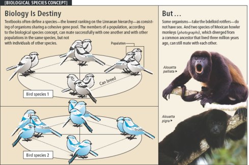 scientificamerican0608-72-I3
