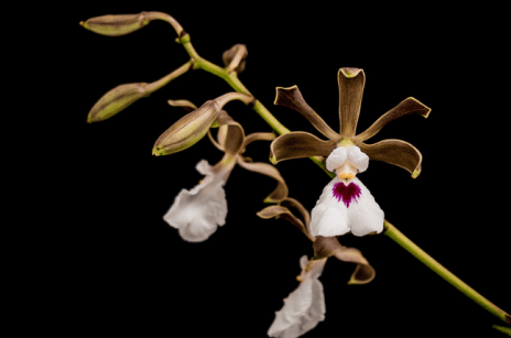 Screen Shot 2015-03-05 at 1.18.57 PM