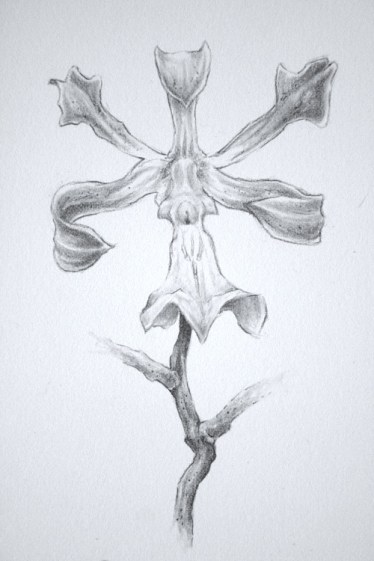 tumblr_miblvbpOai1s3gjeio1_r2_500