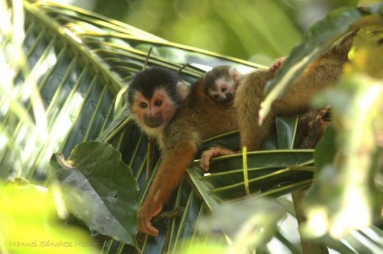 10857338_10202936960014978_103564384053495041_o2-e1422508338574