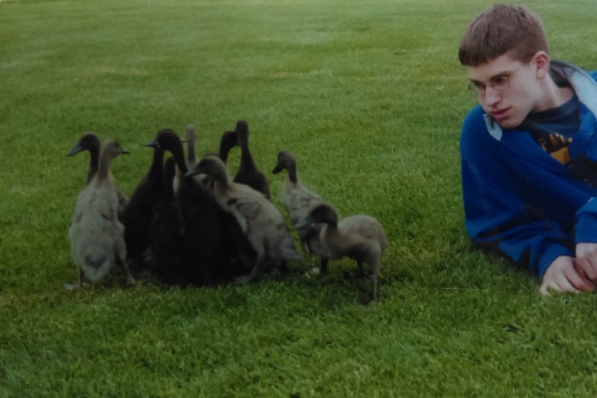 teenage-coogan-with-ducks