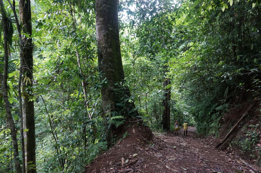 24363925935_beeda61535_k