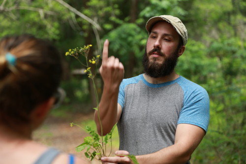 Author Coogan feeding sharks
