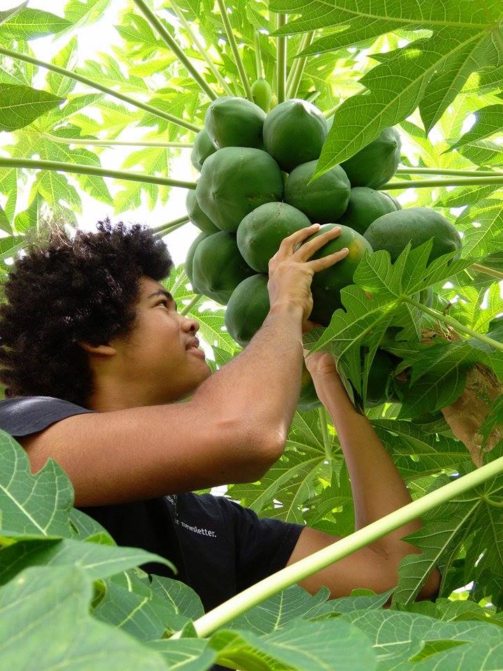 12166678_10208666867094928_1938390248_n