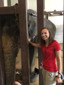 Attach4807_20170719_150131