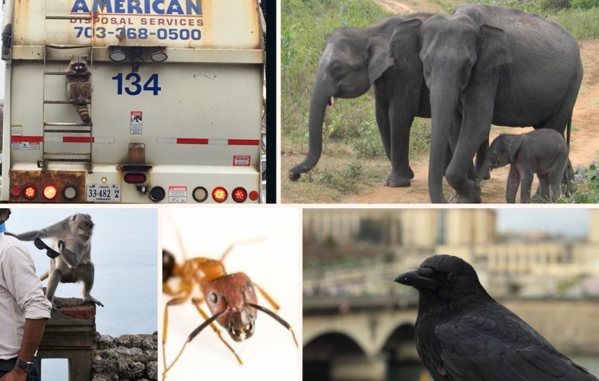 reviewpapercollage_barrett